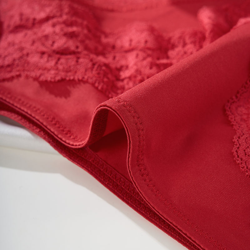 Seamless Lace Low-Rise Panty (PS270) — alternate view showing low-rise fit and leg-opening coverage