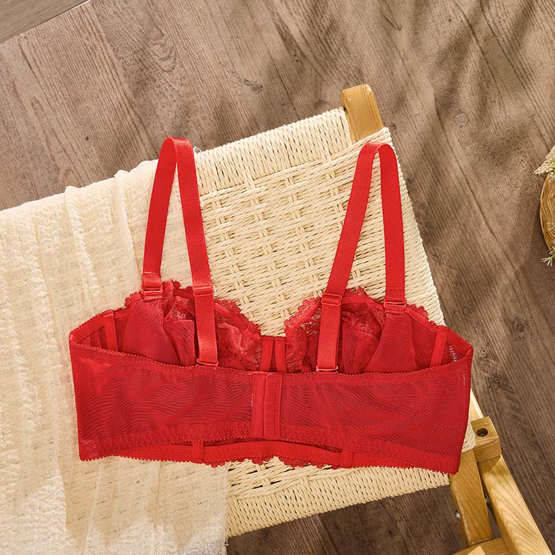 Plus-Size Lace Bra (BY833PLUS) — alternate colourway showing fabric, cup and trim coordination
