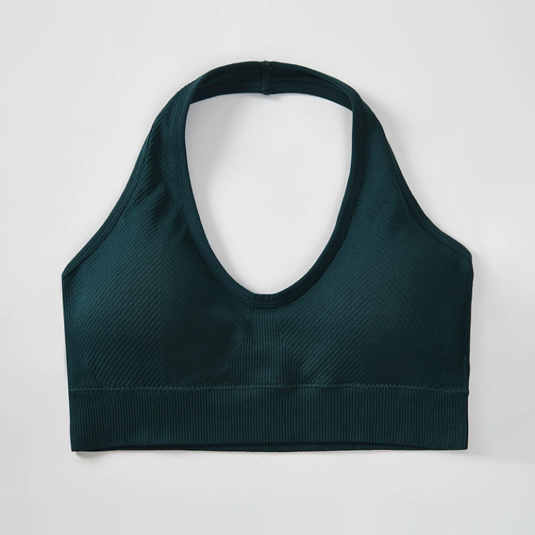 Halter-Neck Sports Bra (W6119): front fit showing silhouette, waistband and activewear coverage